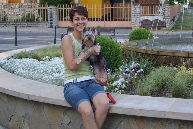 Bright Eyed Hiro Fred - yorkshire terrier | With my Mami.