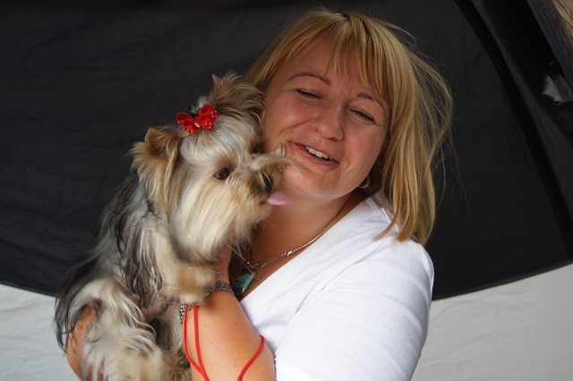Bright Eyed Hiro Fred - yorkshire terrier | I was a little happy. I met my breeder, Titi. It was here that Mami accidentally let go me and I went around myself. The Judge: dr. Kittenberger-Zoltan Katona, I was rewarded with a second place finish.