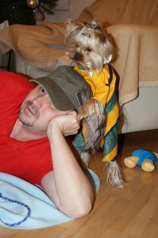 Bright Eyed Hiro Fred - yorkshire terrier |  I'm persistent. I will have to Papa cap.