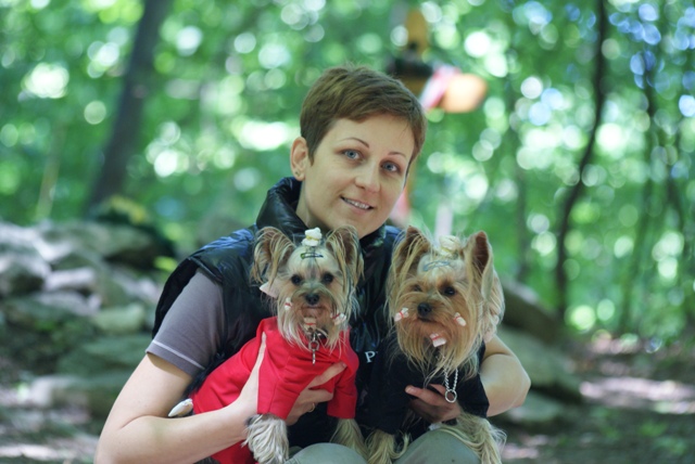 Bright Eyed Hiro Fred - yorkshire terrier |  On tour resting with Mami and Ellike.