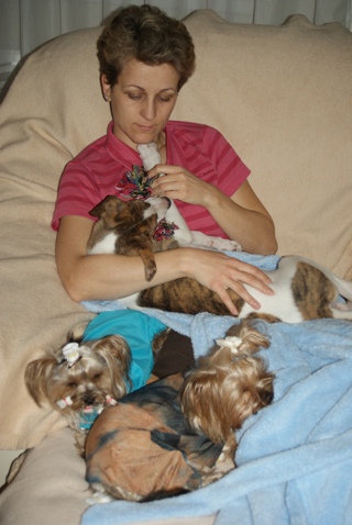 Pannon-Oriental Álom - magyar agar, yorkshire terrier | Everyone has a place here.