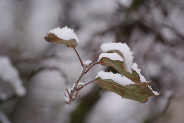 Winter. Winter.