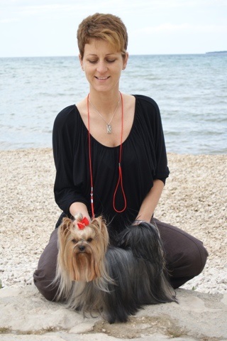 Elli from The Golden Morning - yorkshire terrier | Photo of the seaside with Mami.