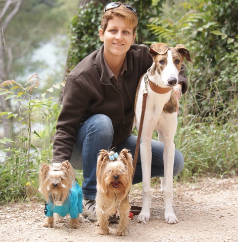 Elli from The Golden Morning - yorkshire terrier | Mami and the kids.