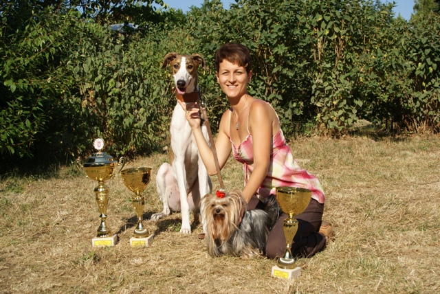 Elli from The Golden Morning - yorkshire terrier | The winning girls team, they won a few pieces trophies.