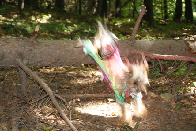 Elli from The Golden Morning - yorkshire terrier | ...and the arrival.