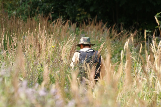 The sky-high grass. The sky-high grass.