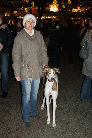 Pannon-Oriental Álom - magyar agar | We went inside the city we visited the Christmas swirl.