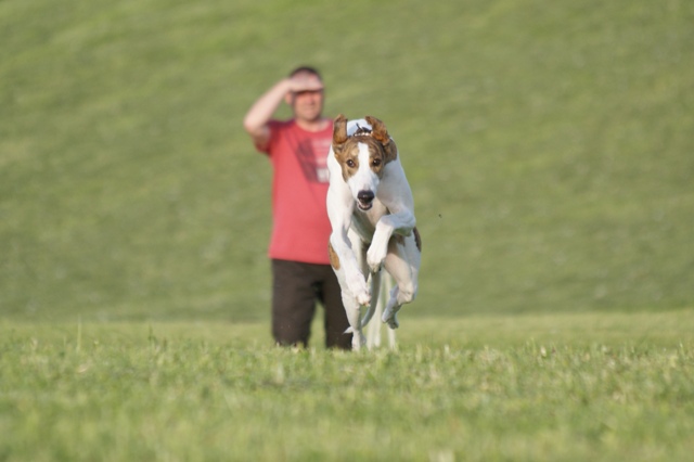 Pannon-Oriental Álom - magyar agar | Next to the hotel excess energy goes to out. Running from Papi...