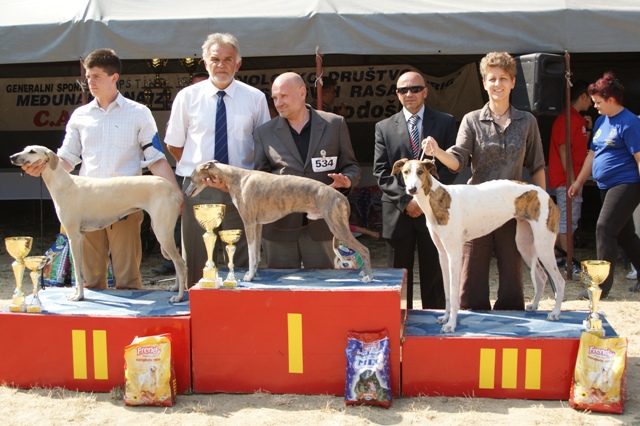 Pannon-Oriental Álom - magyar agár | Sighthounds of the group... I got the honor of third place.