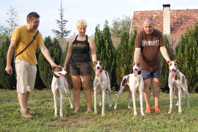 Pannon-Oriental Álom - magyar agar | The great team and adults. Gellért - Angyal, Betti - Ábránd, Anada - Papi - Me.