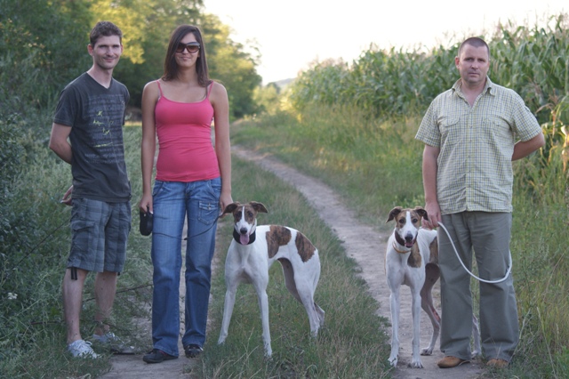 Pannon-Oriental Álom - magyar agár | Walk with Anada and our parents.