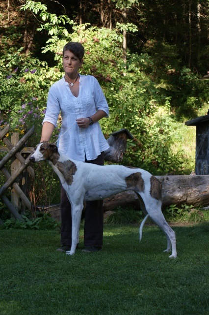 Pannon-Oriental Álom - magyar agar | We was dog show...