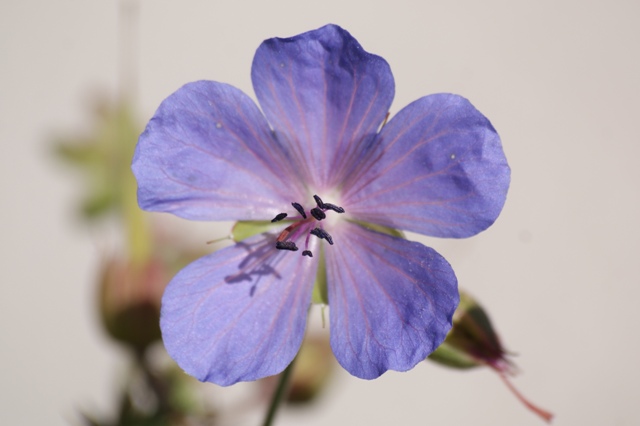 Simply beautiful. Simply beautiful.