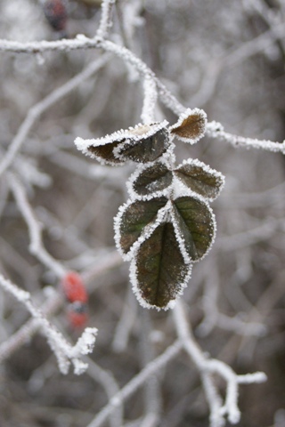 Winter. Winter.