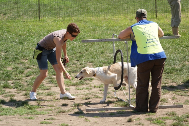 Go Go Bolshoi Jesse James - borzoi | Skilful.