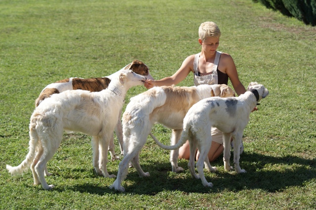 Go Go Bolshoi Jesse James - borzoi | The best friend (Álom), my brother (Moonshine), me, a cute little girl (Aurora) and Mami.