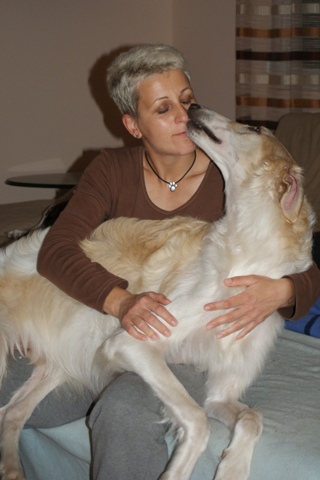 Go Go Bolshoi Jesse James - borzoi | I love my Mami.