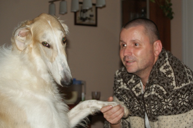 Go Go Bolshoi Jesse James - borzoi | Ok. I'm going to shake hands - with Papi.