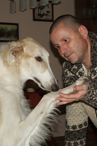 Go Go Bolshoi Jesse James - borzoi | With Papi.