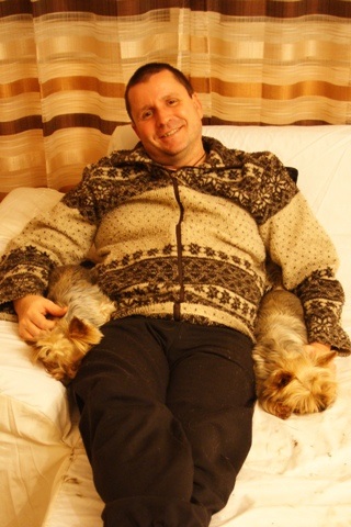 Elli from The Golden Morning - yorkshire terrier | Tranquility, happiness...