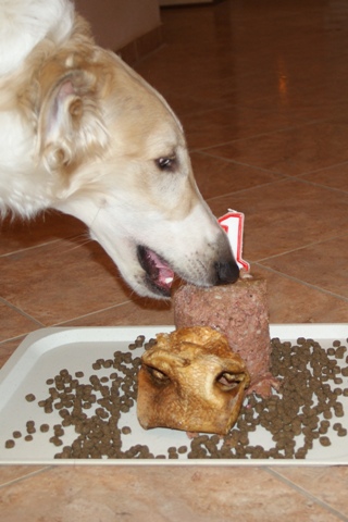 Go Go Bolshoi Jesse James - borzoi | The first birthday cake.