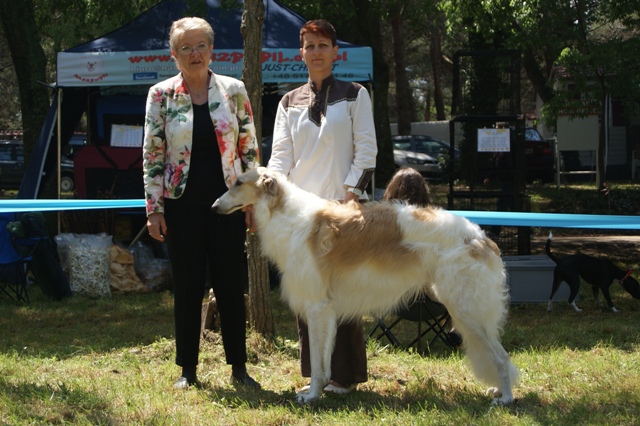 Go Go Bolshoi Jesse James - borzoi | I am a junior class.