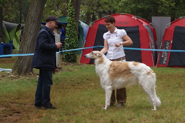 Go Go Bolshoi Jesse James - borzoi | The adults of good cheer and I'm clever.