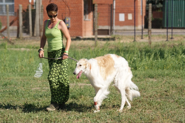 Go Go Bolshoi Jesse James - borzoi | It was good! I really enjoyed it! I'm tired.