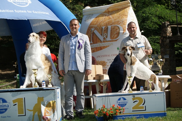 Go Go Bolshoi Jesse James - borzoi | Everyone is very happy.