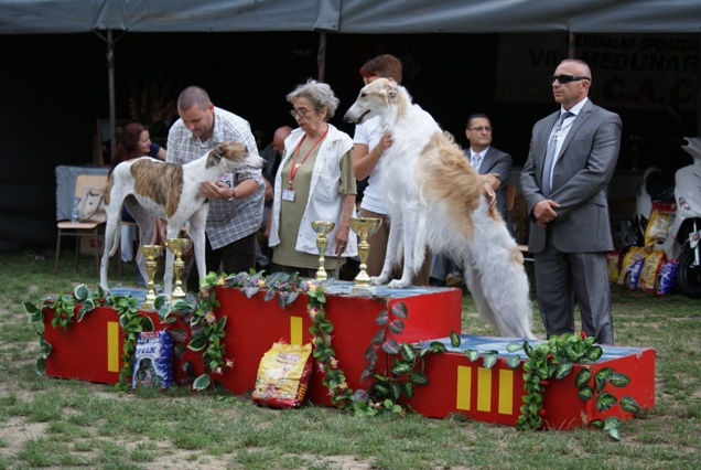 Go Go Bolshoi Jesse James - borzoi | Mami and Papi are very happy again.