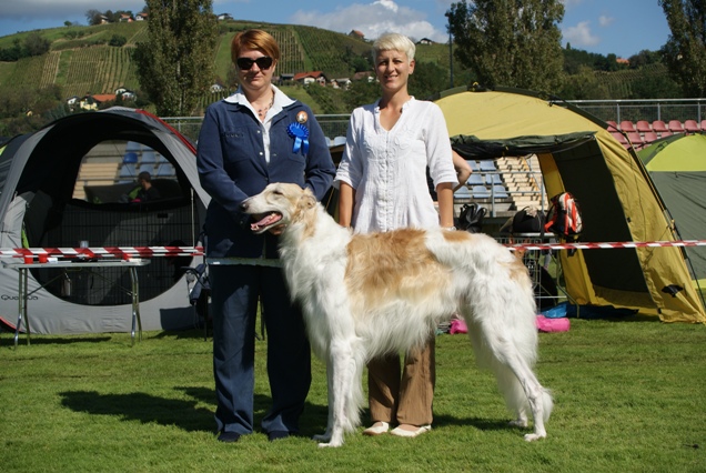Go Go Bolshoi Jesse James - borzoi | In Slovenia.