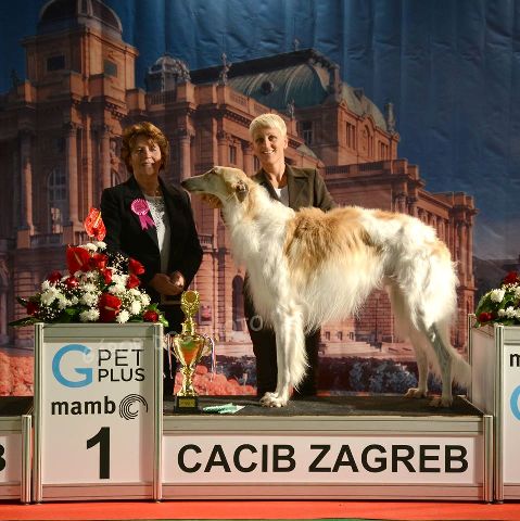 Go Go Bolshoi Jesse James - borzoi | Best of Group.