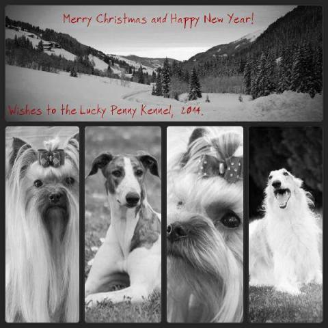 Go Go Bolshoi Jesse James - borzoi | Merry Cristmas and Happy New Year.