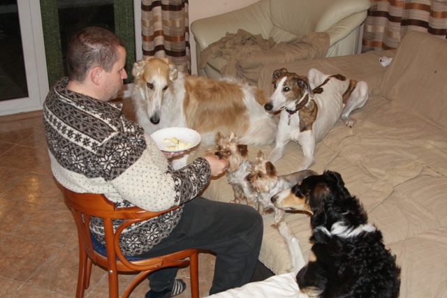 Go Go Bolshoi Jesse James - borzoi | We all (5+1) eat apples.