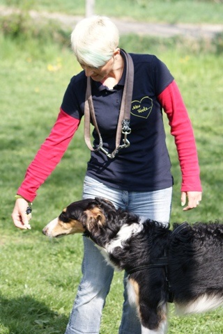 Ninochka's Bellet Blestka - borzoi | Fortunately, it was what appealed to me in kindergarten.