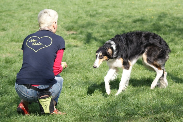 Ninochka's Bellet Blestka - borzoi | I go if you ask it of me. May we go home already now?