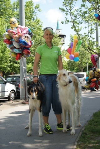 Go Go Bolshoi Jesse James - borzoi | We walked with Mami.