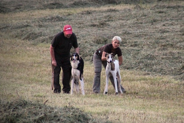 Pannon-Oriental Álom - magyar agar, borzoi | We are preparing for the start line...