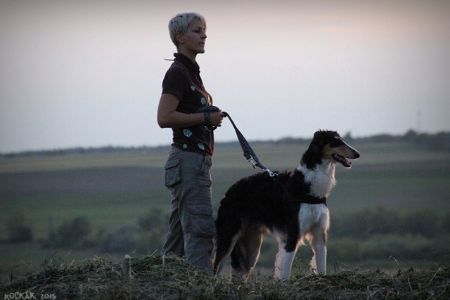 Ninochka's Bellet Blestka - borzoi | I am learning how to do this (coursing).