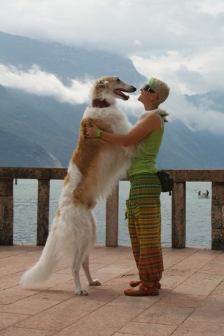 Go Go Bolshoi Jesse James - borzoi | Simple love.