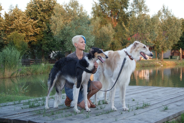 Go Go Bolshoi Jesse James - borzoi | Lakeside observation ...