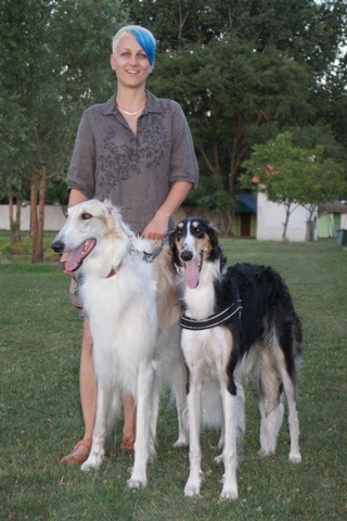 Go Go Bolshoi Jesse James - borzoi | While walking...