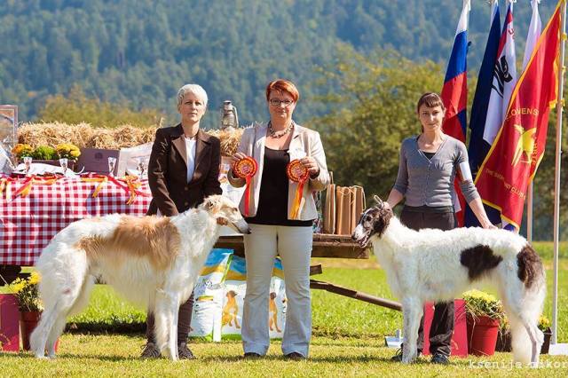 Go Go Bolshoi Jesse James - borzoi | I became the best of breed.