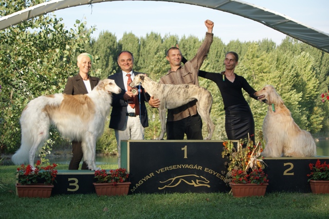 Go Go Bolshoi Jesse James - borzoi | The first senior handler competition of my Mami.