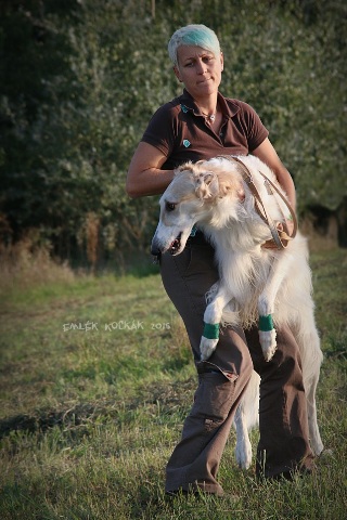 Go Go Bolshoi Jesse James - borzoi | We go to the startline.
