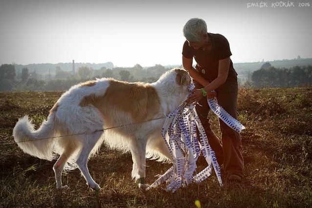 Go Go Bolshoi Jesse James - borzoi | Mami, I bring to you. I help!