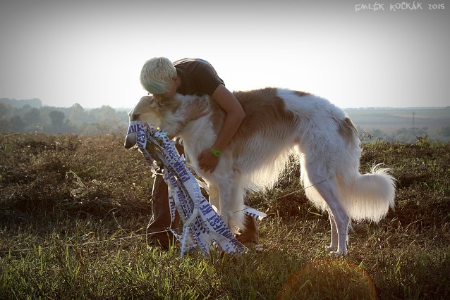 Go Go Bolshoi Jesse James - borzoi | Mami loves me.