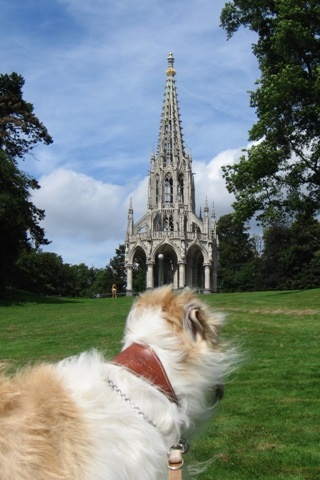 Go Go Bolshoi Jesse James - borzoi, magyar agár | Sightseeing in Brussels...