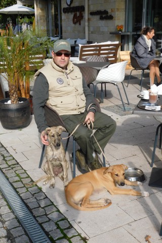 Lucky Penny Aranyifjú - magyar agár |We are patiently waiting for the cafe's terrace.